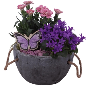 Spring Flower Arr. Outdoor Ceramic Pot with Rope Handle Ø16cm 2P
