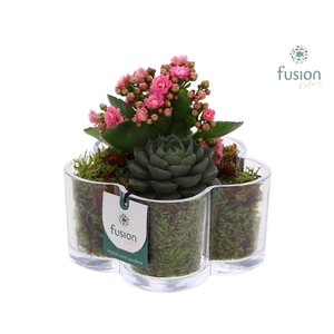 Glazen Bloemschaalmet Arrangement