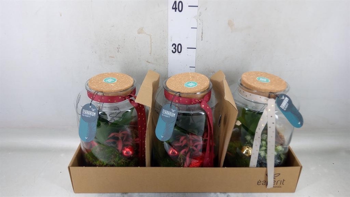 <h4>Arr.    Planten  H%</h4>