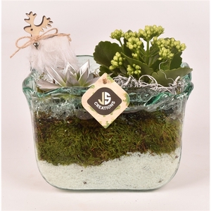 Glas Eco rechthoek 20x12cm