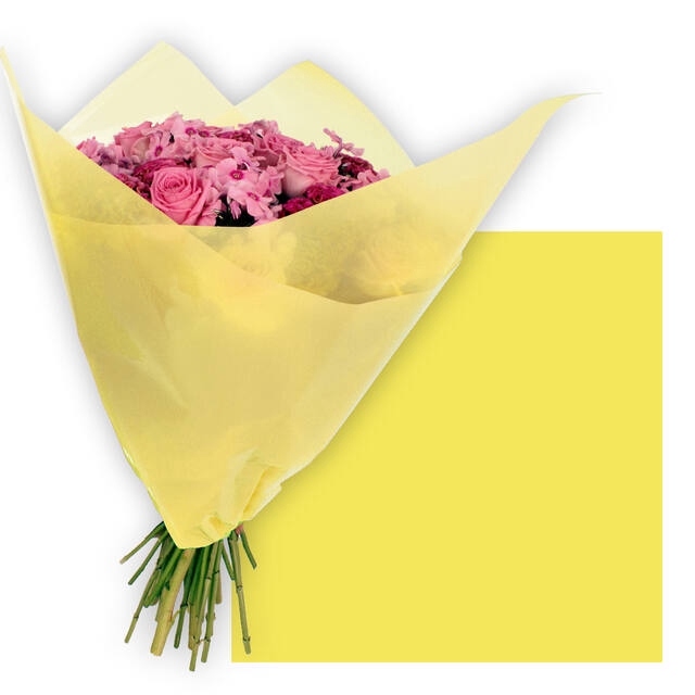 <h4>Vellen 80x80cm OPP50 Frost geel</h4>