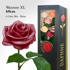 Wax Rose Xl 6 Shine Mix 60cm