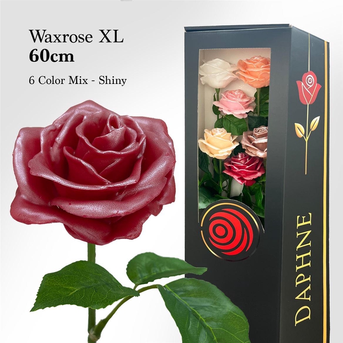 <h4>Wax Rose Xl 6 Shine Mix 60cm</h4>