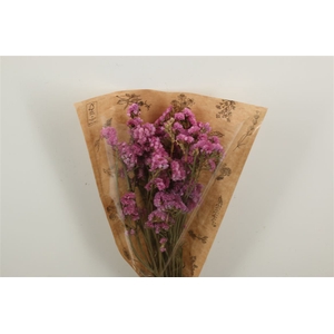 Dried Limonium Statice Pink Bunch