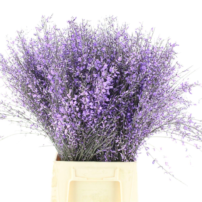 <h4>Ginster Milka P Bunch 400gram</h4>