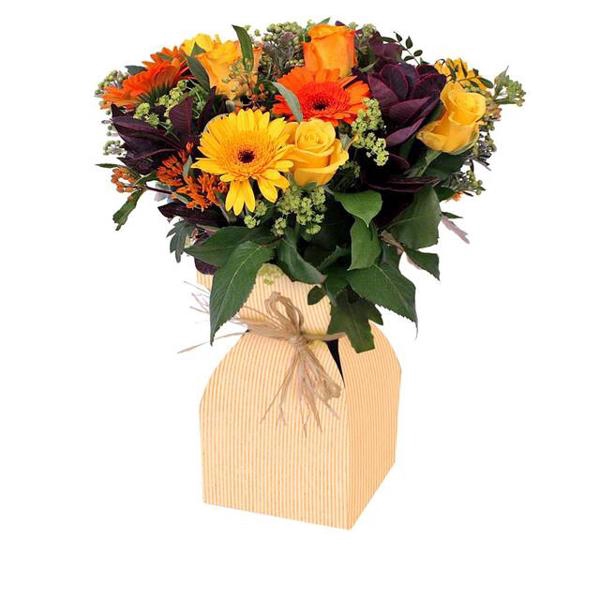 <h4>Vaas Basic kraft karton+plastic 11.5xH21cm oranje</h4>