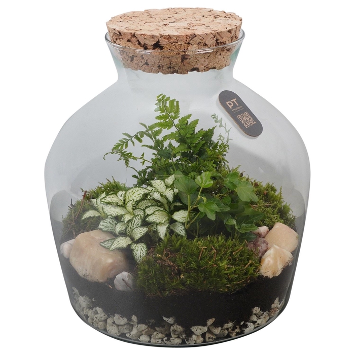 <h4>Arr.   Kamerplant Groen H%</h4>