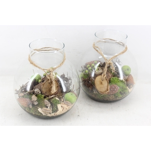 arr4 Amaryllis MB - Glas bol nek rope 285/4