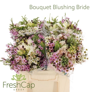 Bouquet Blushing Bride Posy