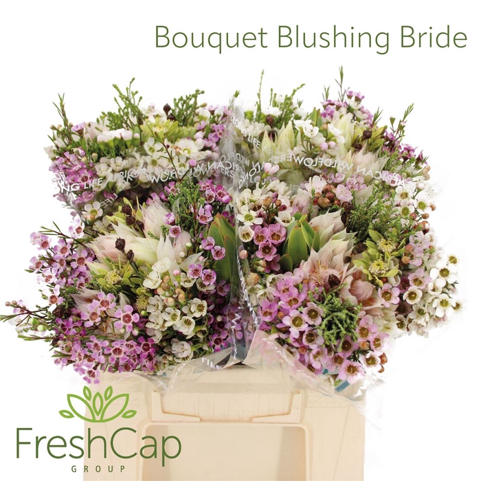 <h4>Bouquet Blushing Bride Posy</h4>