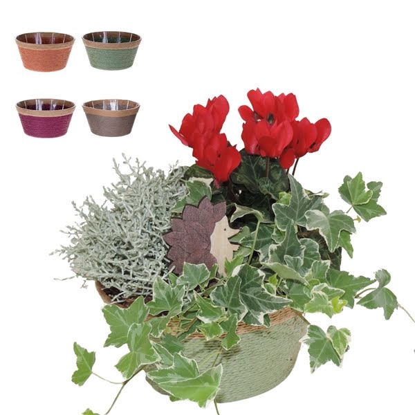 Arrangement in Mand 19 cm