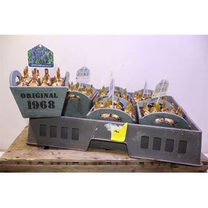 arr8 Arr Muscari In Houten Hengsel Bakje