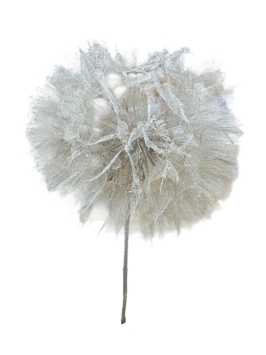 <h4>PUSTE FLOWER PRESERVED | EXTRA DAND</h4>