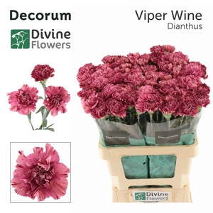 DI ST VIPER WINE