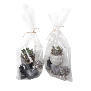 Arr.   Kamerplant Groen L%