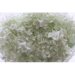 Pres Hydrangea Soft Green Bunch