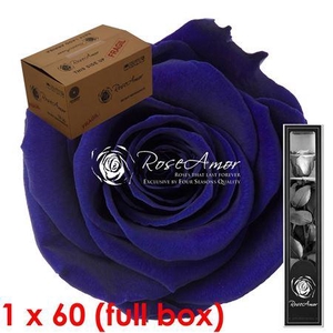 30cm Stem Blu03 Bulk