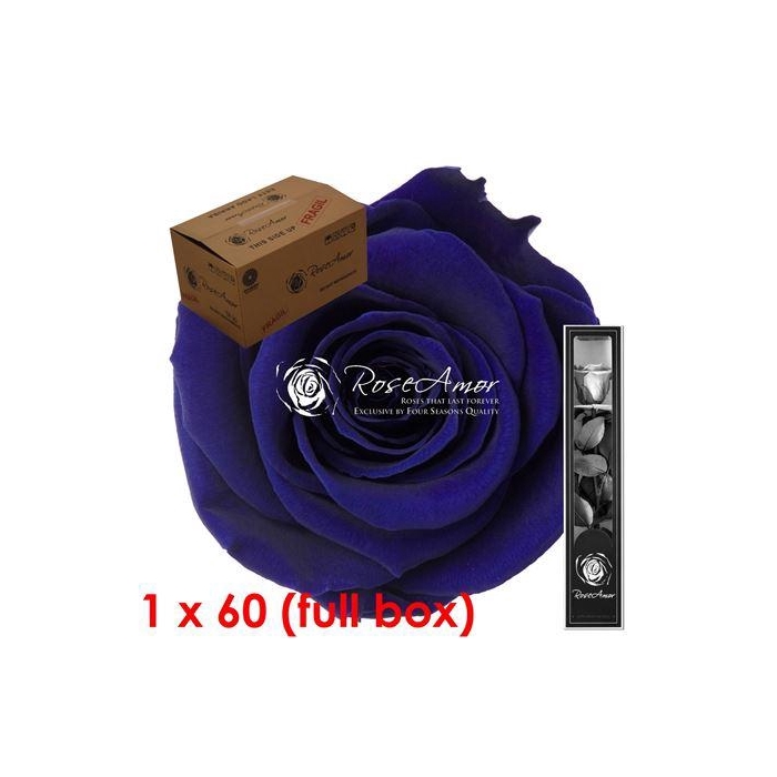 <h4>30cm Stem Blu03 Bulk</h4>