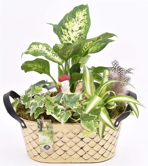 <h4>Zink ovaal met leer handvat 24x15cm</h4>