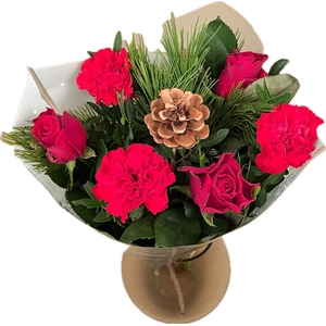 Bq Xmass Rudolfs Choice red