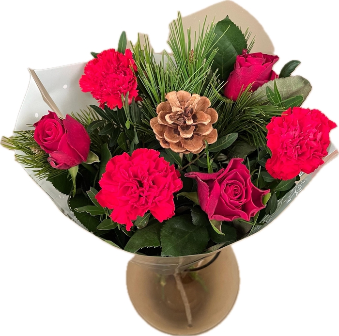 <h4>Bq Xmass Rudolfs Choice red</h4>