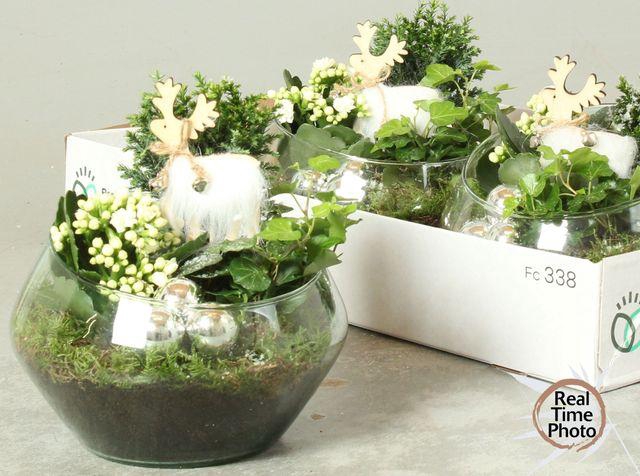 <h4>ARR KAMERPL</h4>