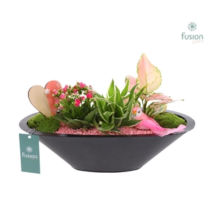 Schaal zink antraciet met Arrangement Love