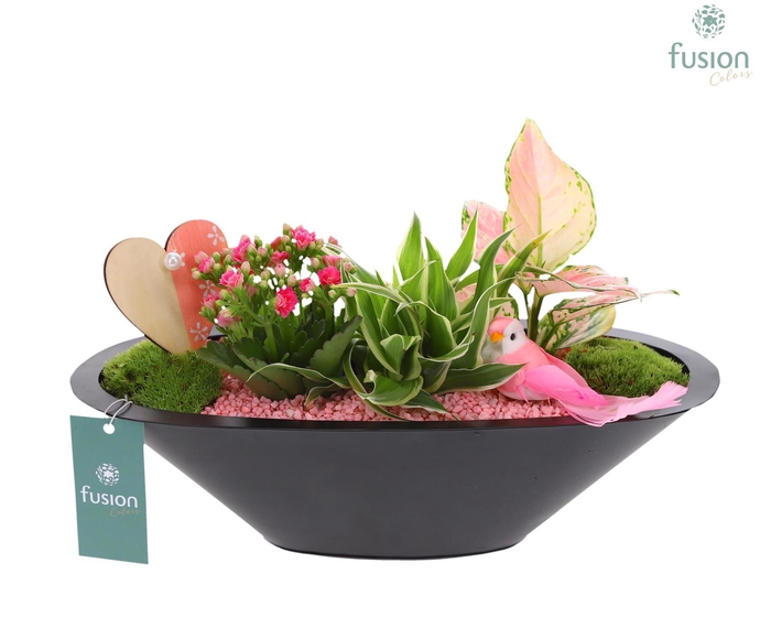 <h4>Schaal zink antraciet met Arrangement Love</h4>