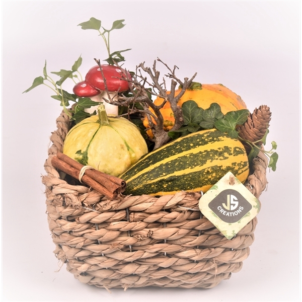 <h4>Arrangementen Sierfruit</h4>