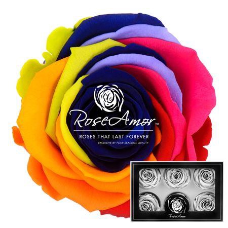 <h4>Lplus Rainbow Blu03</h4>