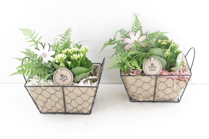 <h4>Arr2 Pl Gaasmand Met Jute - Roze/wi</h4>