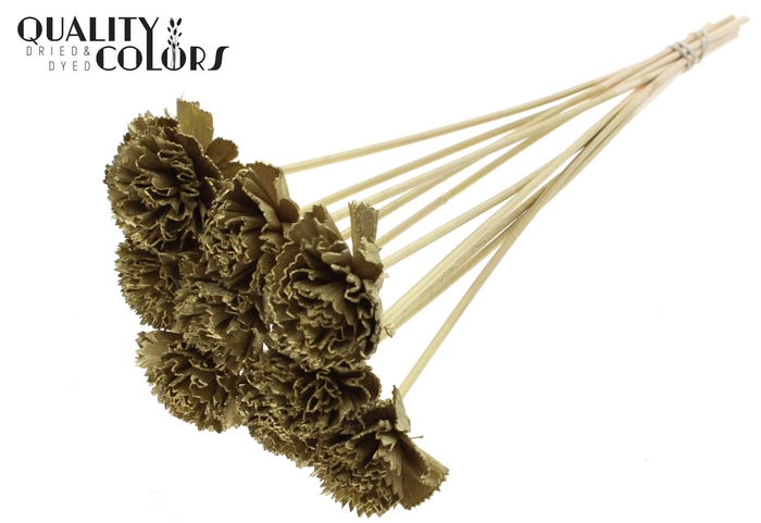 Shola Karnish Flower 6cm on stem Gold