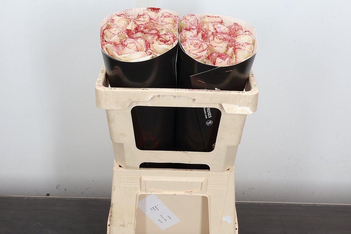 <h4>R Ov Wx 50cm Wit + Glit Rood</h4>