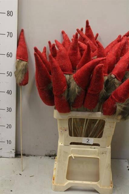 <h4>HUIS EN TUINDECO H%</h4>