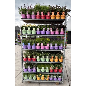 Bee Friendly Mixkar