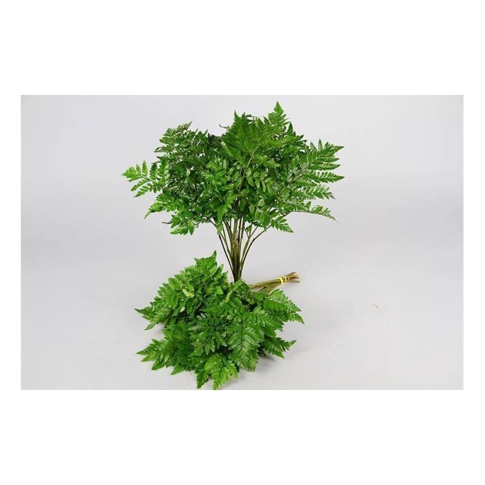 <h4>LEDERVAREN MEDIUM CORE</h4>