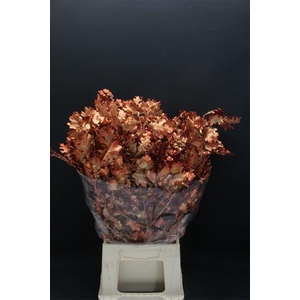 Eik Gestabiliseerd Koper