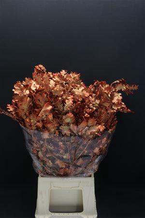 <h4>Eik Gestabiliseerd Koper</h4>