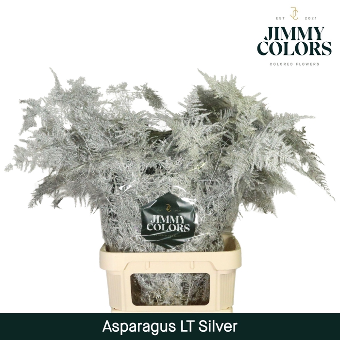<h4>Aspa lang getopt Silver</h4>