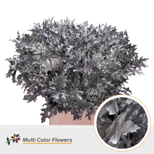 Eik Fijn (80 cm) Zilver