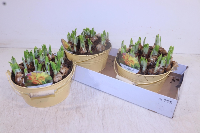 <h4>ARR N TETE A TETE</h4>