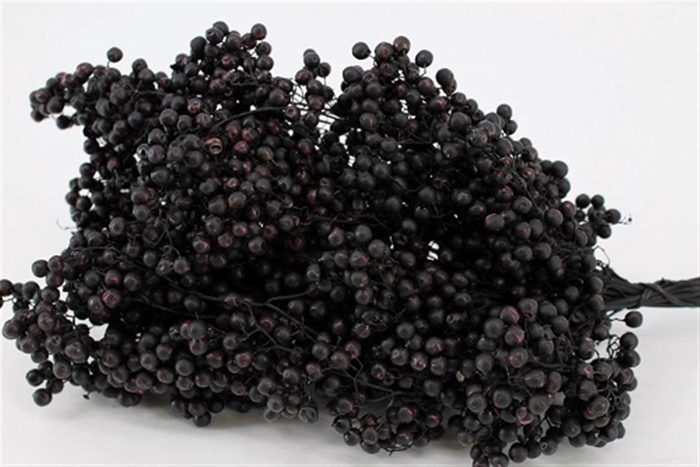 <h4>Schinus M Pt Black Bunch</h4>