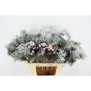 Stick Berries Red/Pinus+Snow