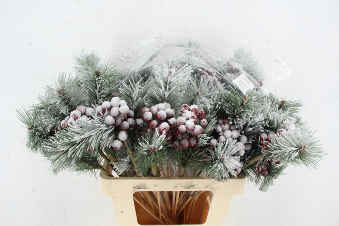<h4>Stick Berries Red/Pinus+Snow</h4>
