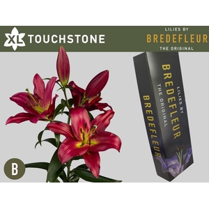 LI OT TOUCHSTONE QUALITY BOX