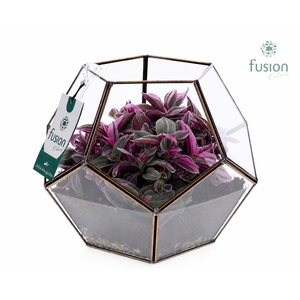 Geometrisch planter Large met groen plant