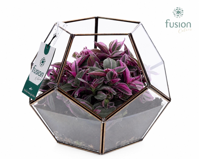 <h4>Geometrisch planter Large met groen plant</h4>