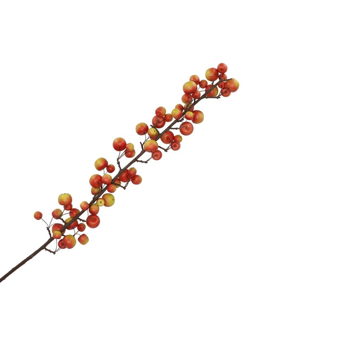 <h4>Silk Apple Sentinel Red/green 135cm Nm</h4>