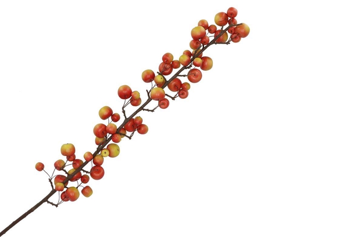 <h4>Silk Apple Sentinel Red/green 135cm Nm</h4>
