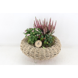 arr4 Outdoor PL - Mand op pootjes